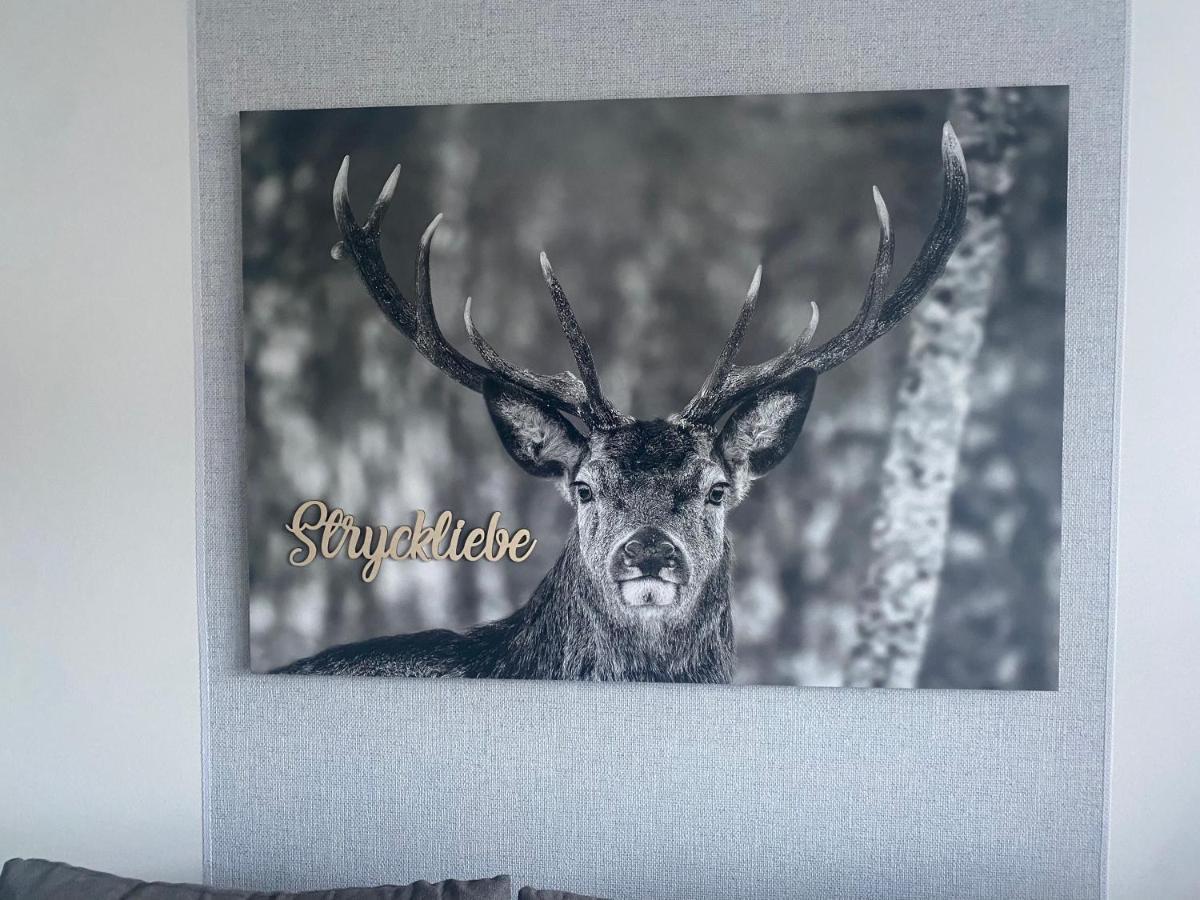 Ferienwohnung Stryckliebe Willingen  Dış mekan fotoğraf